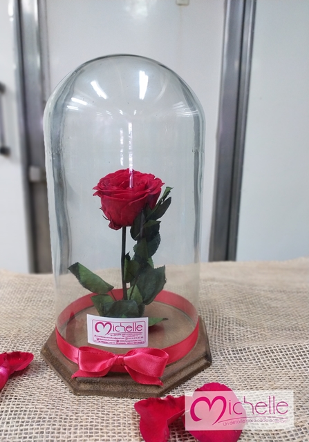 Rosa eterna - Floresmichelle